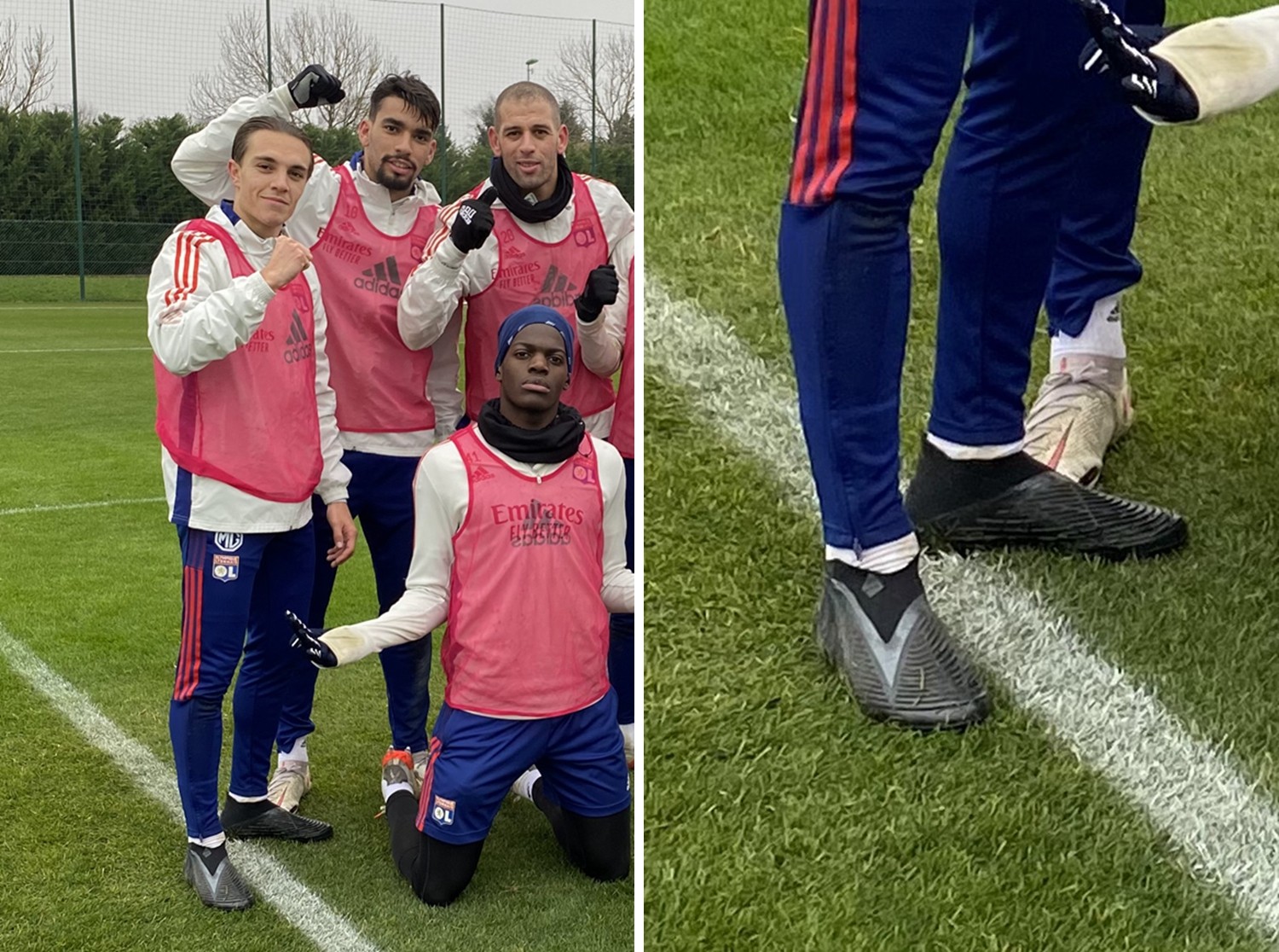 炉膛一体动物油熬练直烧锅