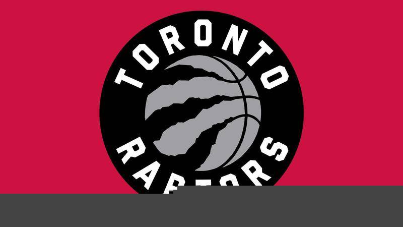 1吨-10吨茶籽油生产线