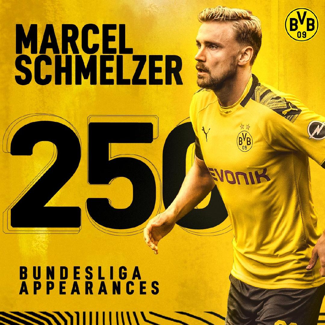 1吨-10吨茶籽油生产线